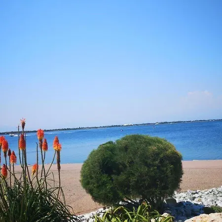 T2 4 Pers Rdc Piscine Parking Animaux - Fr-1-195-68 * Le Barcarès